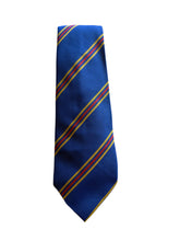 Load image into Gallery viewer, Caldicot House Ties
