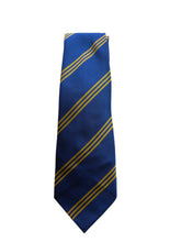 Load image into Gallery viewer, Caldicot House Ties
