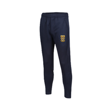 Load image into Gallery viewer, NHSOB Next Gen Skinny Track Pants with club logo

