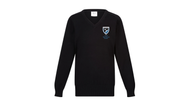 Abersychan Boys Embroidered V Neck Cotton Jumper